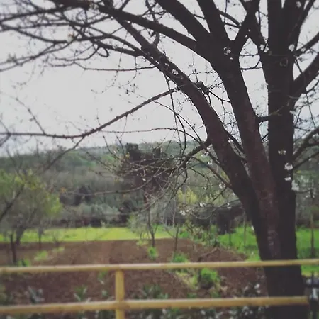 Vila Elisabetta Caserta